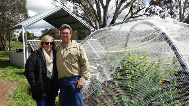 The couple outside their veggie garden. Picture: Alex Turner-Cohen