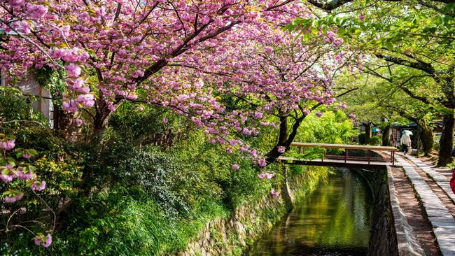 Philosopher's Walk in Kyoto, Japan.