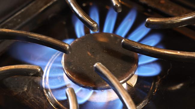 Randwick deputy mayor Rafaela Pandolfini is calling local councils to ban gas. (Photo Getty Images via AFP)