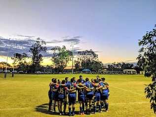 We stick together. Picture: Gladstone Goats - 040819