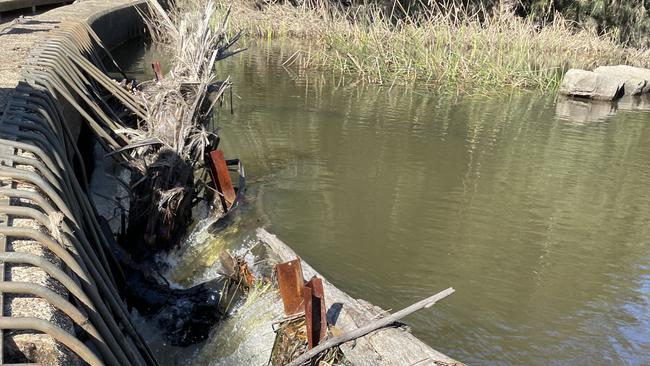 Large trees have bent the grate that allow water to flow underneath Audley Weir. Picture: Ashleigh Tullis