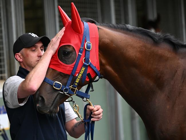 MELBOURNE, AUSTRALIA - OCTOBER 31: Trainer Nick Ryan poses with Red Aces during a Derby Day media opportunity at Flemington Racecourse on October 31, 2024 in Melbourne, Australia.  (Photo by Vince Caligiuri/Getty Images)