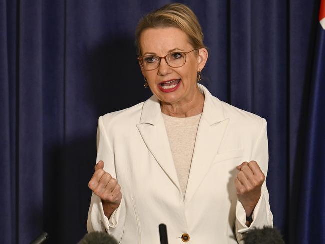 Opposition Leader Sussan Ley could be about to make her second big mistake. Picture: Martin Ollman