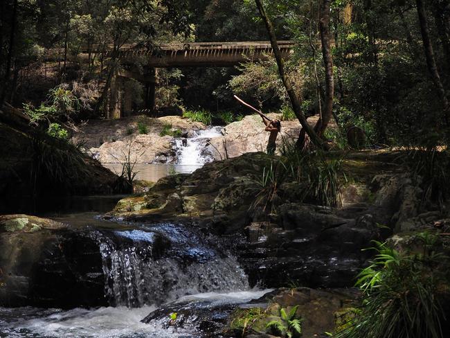 Thanks to Lynne East for this shot out near Cascade Falls. Coffs cover image.