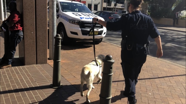 Parramatta court bomb threat called in at 2pm with dog squad and riot unit sent to the Justice Precinct.