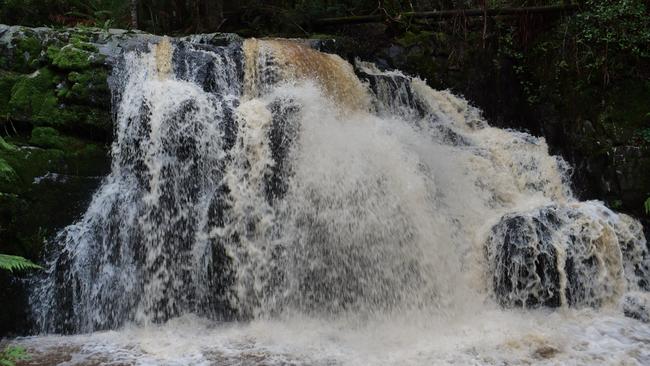 Lilydale Falls.