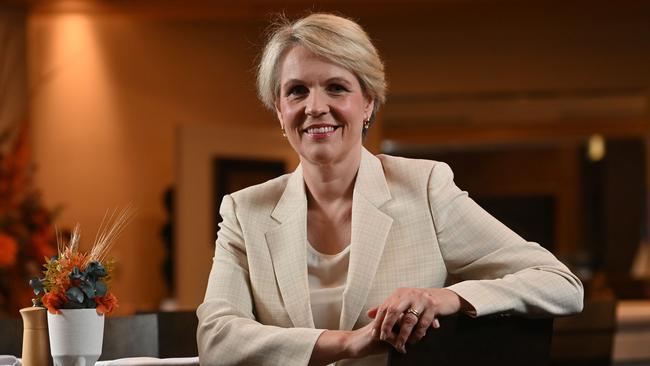 Environment Minister Tanya Plibersek. Picture: Keryn Stevens