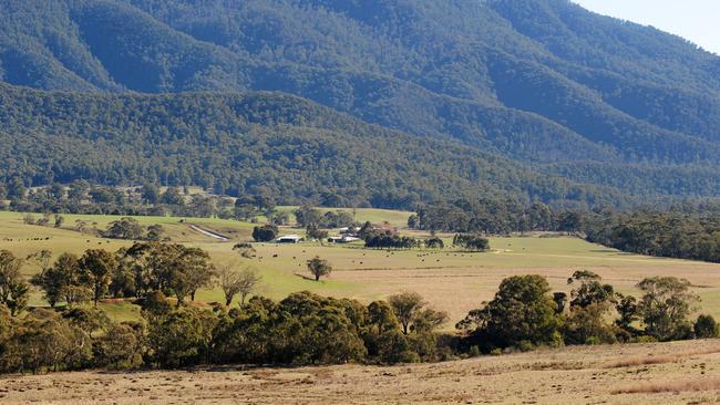 High country holding: Tom Groggin Station near Khancoban in NSW.