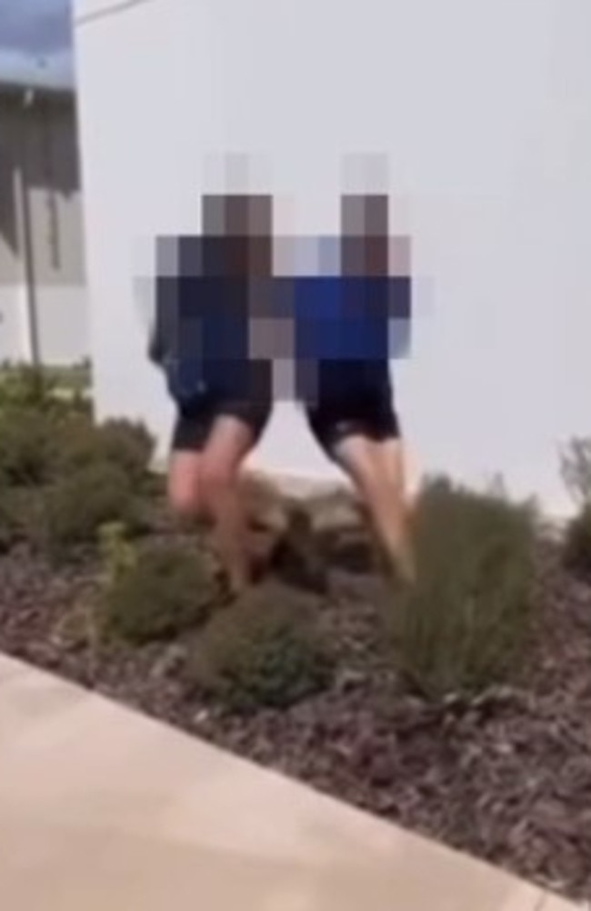 Screenshots of videos of students brawling posted to Instagram.