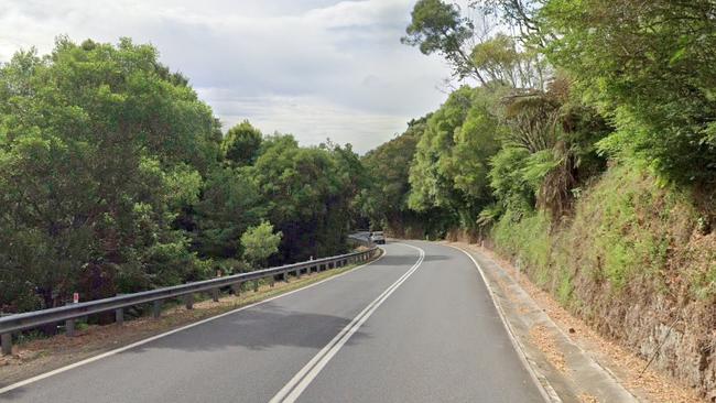 Part of Waterfall Way, Dorrigo Mountain.