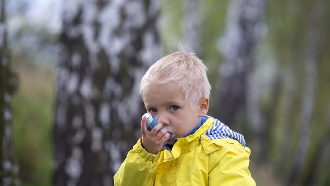 Asthma Australia chief executive Michele Goldman says while gas cooktops remain the preferred choice for Australian households the majority are unaware of the health risks.