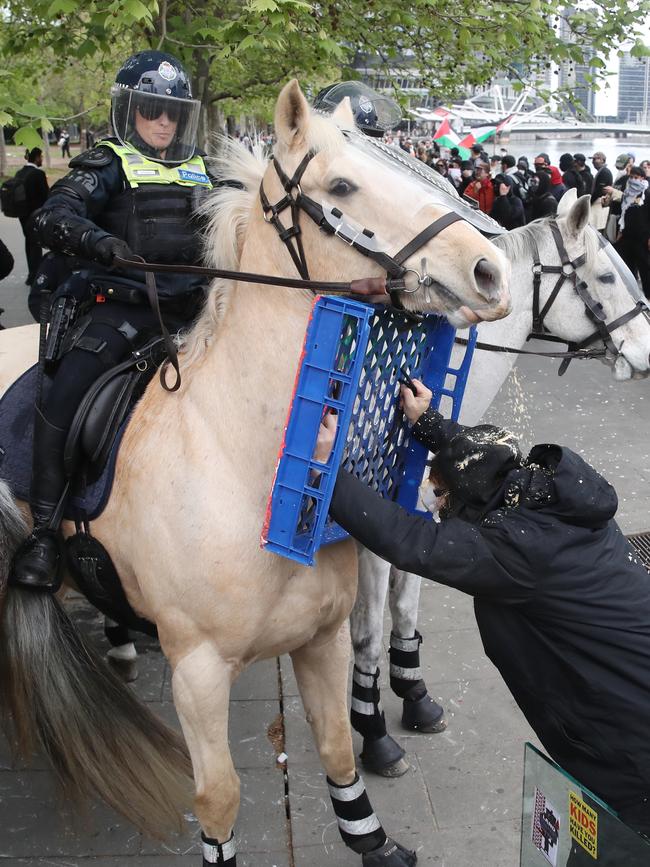 Protesters seen in a violent confrontation with a police horse. Picture: David Crosling