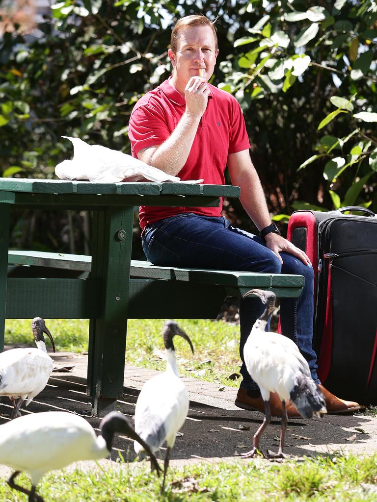 Queenslanders are very familiar with the ibis, which has made itself right at home in the Brisbane Botanic Gardens. Picture: AAP Image/Claudia Baxter