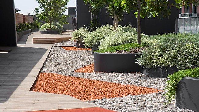 rooftop garden