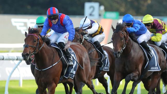 Dubai Honour, winning the Group 1 Queen Elizabeth Stakes in 2023, is more likely to campaign in the Middle East. Picture: Jeremy Ng/Getty Images