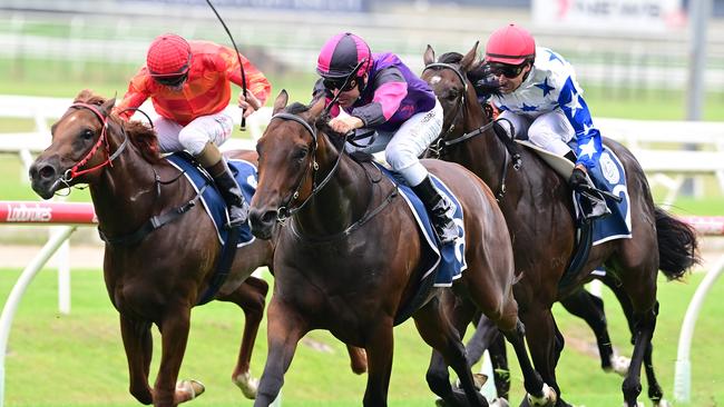 All Inclusive winning for David Vandyke last Saturday. Picture: Grant Peters/Trackside Photography