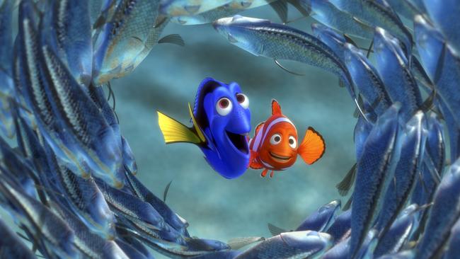 Finding Dory takes place a year after Finding Nemo.