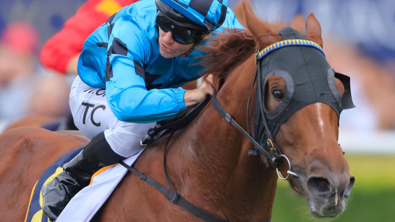 Ellsberg at the top of his game for the Hawkesbury Guineas