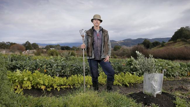 <s1>Matthew Evans on Fat Pig Farm in the Huon Valley. Picture</s1>: MATT THOMPSON