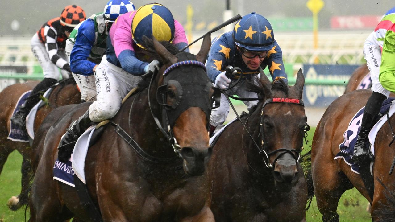 Gilbert Gardiner’s horses to follow, forgive from Flemington