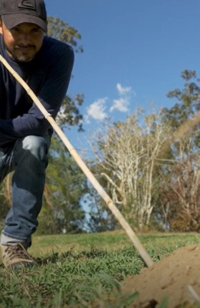 Logan City Council has made a submission about the cost of fire ant eradication to a parliamentary inquiry investigating the sustainability of local government. Picture: Logan City Council