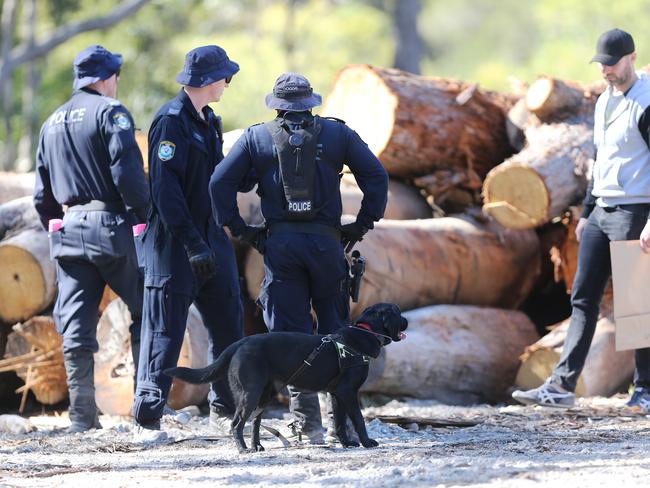 Police with dogs investigate a sawmill on Herons Creek Road during the search for William Tyrrell north of Kendall in NSW, Tuesday, August 20, 2019. (AAP Image/Peter Lorimer) NO ARCHIVING