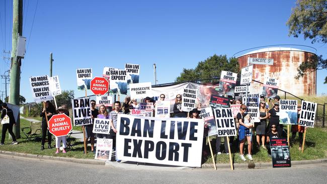 Protesters against live exports at Hamilton 21st May 2018. Around 40 protestors are expected at Hamilton Port on Monday morning to protest against the expected loading of up to 1,500 cattle, to be shipped to Japan. Photo AAP/ Ric Frearson