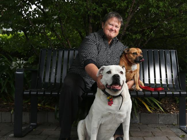 Jan Cameron with her dogs Tszyu and Ruby. Picture: NIKKI DAVIS-JONES