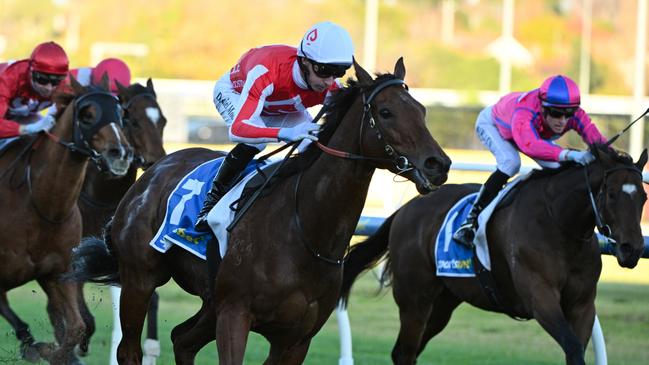 Niance made a winning return in the Bel Esprit at Caulfield after missing the autumn carnival. Picture: Getty Images