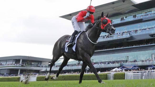 Mazu will again be on the big stage in Saturday’s Group 1 Lightning Stakes at Flemington. Picture: Getty Images