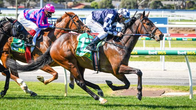 Damien Oliver rides Young Werther to victory in Geelong.