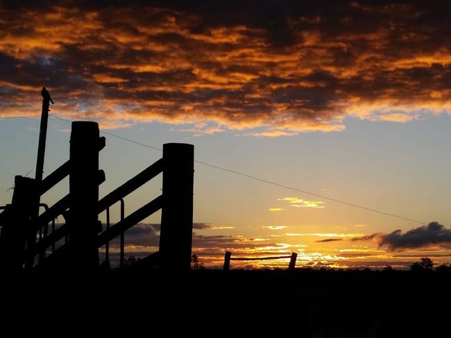 Michele Giffin's photo of a Lawrence sunset on her farm won this week's Cover Image competition.