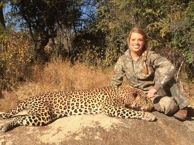 Kendall Jones posted this photo with the comment: “this was a free ranging leopard in Zimbabwe on communal land. The money for the permit goes to the communal council and to their village people”. Source: Facebook.