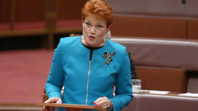 Pauline Hanson delivers her first speech in the Senate chamber. Pic: Gary Ramage