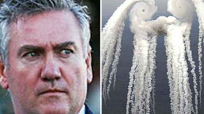 Eddie Mcguire was onboard Qantas nose-dive flight.