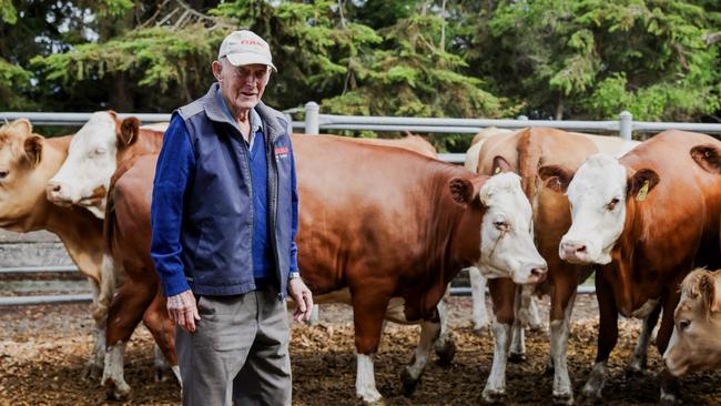 Graeme Smith, Irrewarra Simmentals selling at the Colac cattle sale last week. Pictures: Nicole Cleary