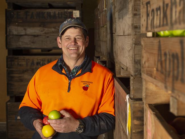 Drouin apple growers use tech to beat the weather