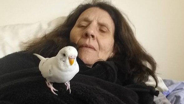 Loretta Robinson with a bird called Paris. Picture: Facebook