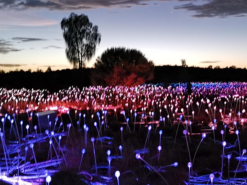 Simone Mitchell visits Field of Lights.