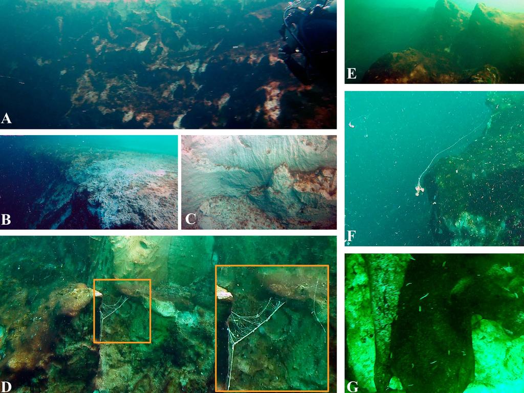 A collage of shots from the Taam Ja’ Blue Hole expedition. Picture: Supplied