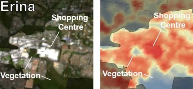 Erina Fair urban heat island showing vegetated areas are three degrees cooler.