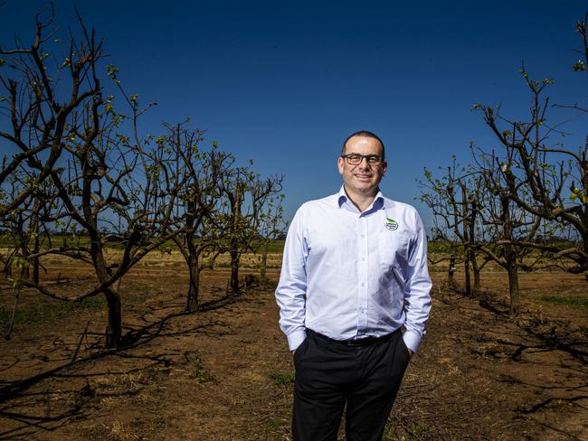 Anthony Di Pietro has quit as chairman of Melbourne Victory. Picture: Aaron Francis