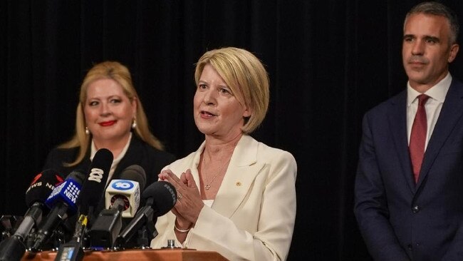 Natasha Stott Despoja AO will lead a South Australian Royal Commission into Domestic, Family and Sexual Violence. Picture: State Government