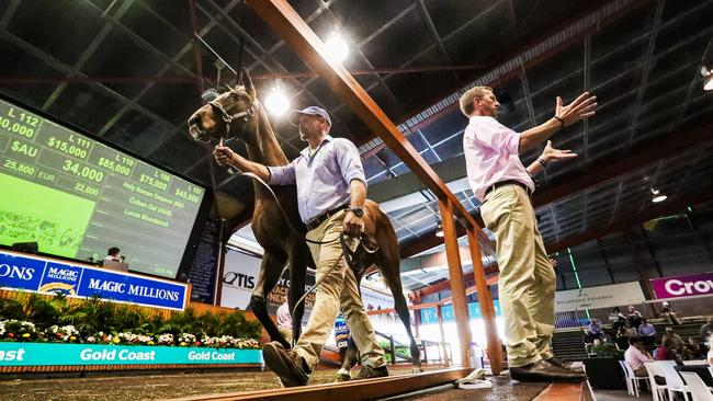 Magic Millions sale on the Gold Coast in 2018. Picture: Nigel Hallett