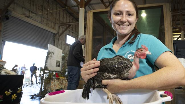 Lyndsey Sumpton washing a bird. PICTURE CHRIS KIDD