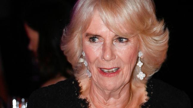 Judi Dench is reportedly friends with Camilla, Queen Consort. Picture: Toby Melville/WPA Pool/Getty Images