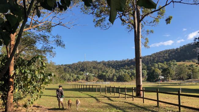 A beautiful walk at an Upper Coomera easement on the Gold Coast. Picture: Amanda Robbemond