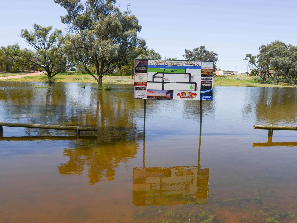 Lyrup park under water on November 19, 2022: Picture: Brenton Edwards