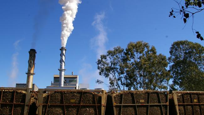 Isis Central Sugar Mill fired on all cylinders achieving impressive hauls during the 2022 season. Photo Brittany Cook / Isis Town &amp; Country