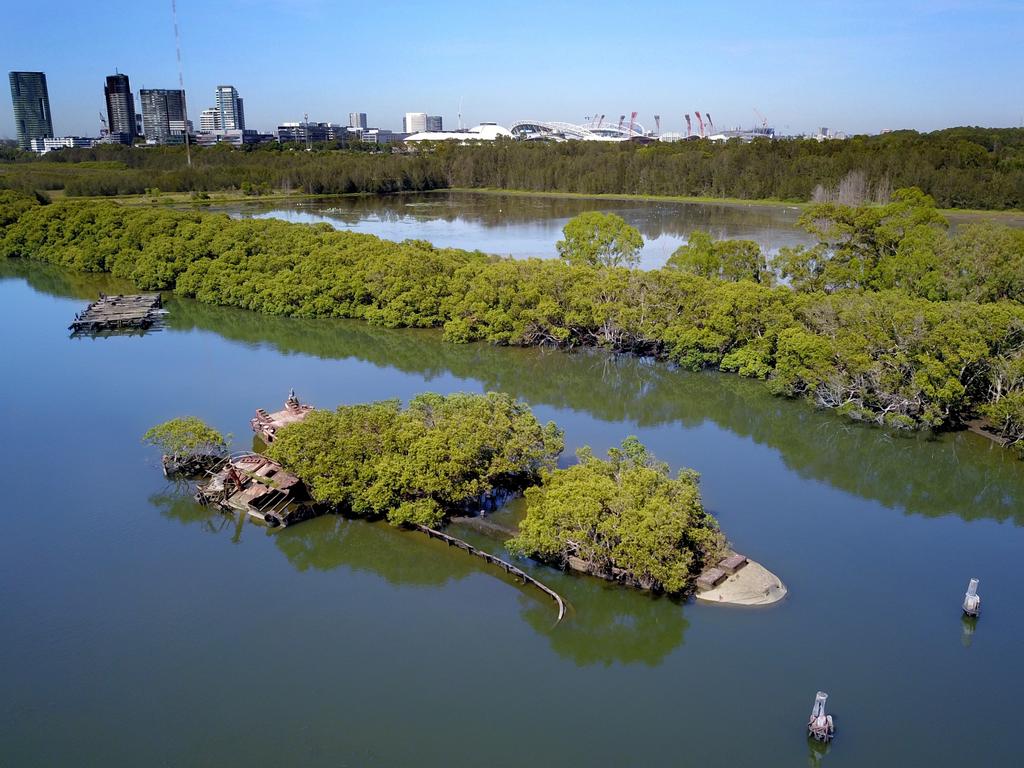 Shipwrecks in Homebush Bay. Picture: Toby Zerna